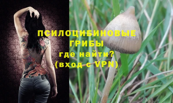 бошки Белоозёрский