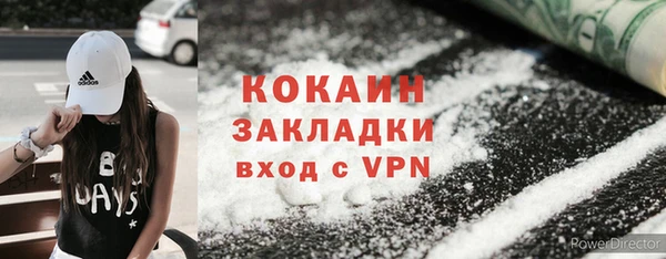первитин Богданович