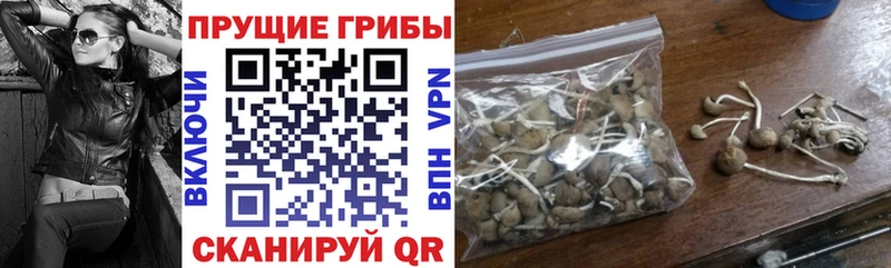 blacksprut как зайти  Минеральные Воды  Галлюциногенные грибы Psilocybine cubensis 